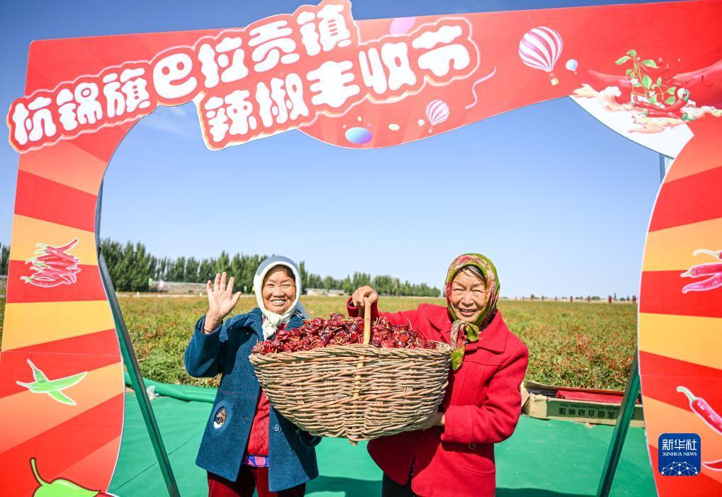 bb平台足球